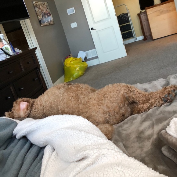 Meet your Posher, Lori - Picture 1 of 1